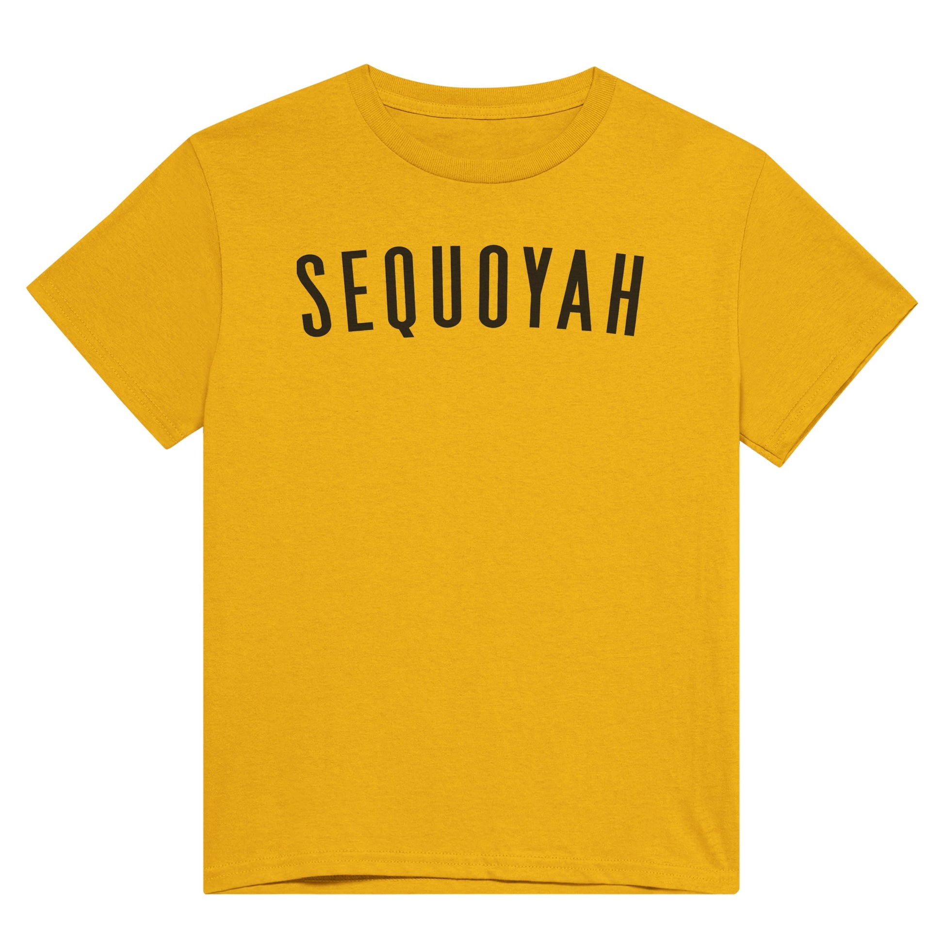 0945e70f-9625-4b0e-985e-7fb2aa9a2ac5